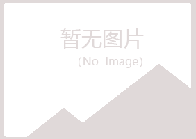 大同城夜山工程有限公司